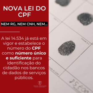 Leia mais sobre o artigo Nova lei do CPF