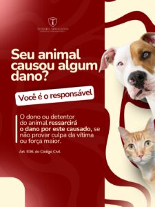 Leia mais sobre o artigo Seu pet pode até ser dócil… mas a responsabilidade é sempre sua.