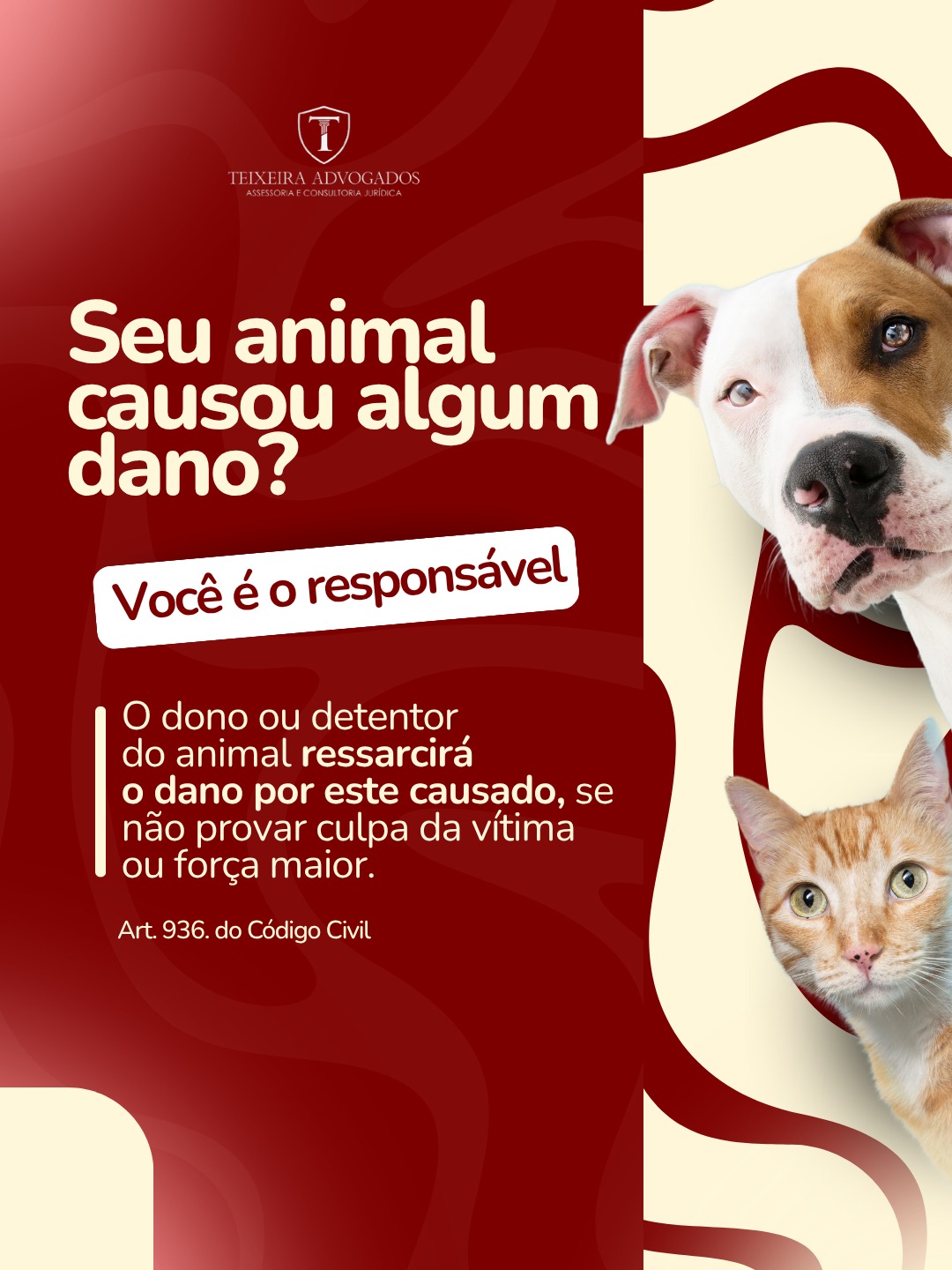 No momento, você está visualizando Seu pet pode até ser dócil… mas a responsabilidade é sempre sua.